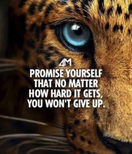 The Importance of Connection