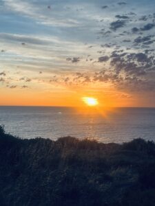 Beyond Services for Interconnection