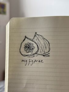 My Fig Tree. Life Changes